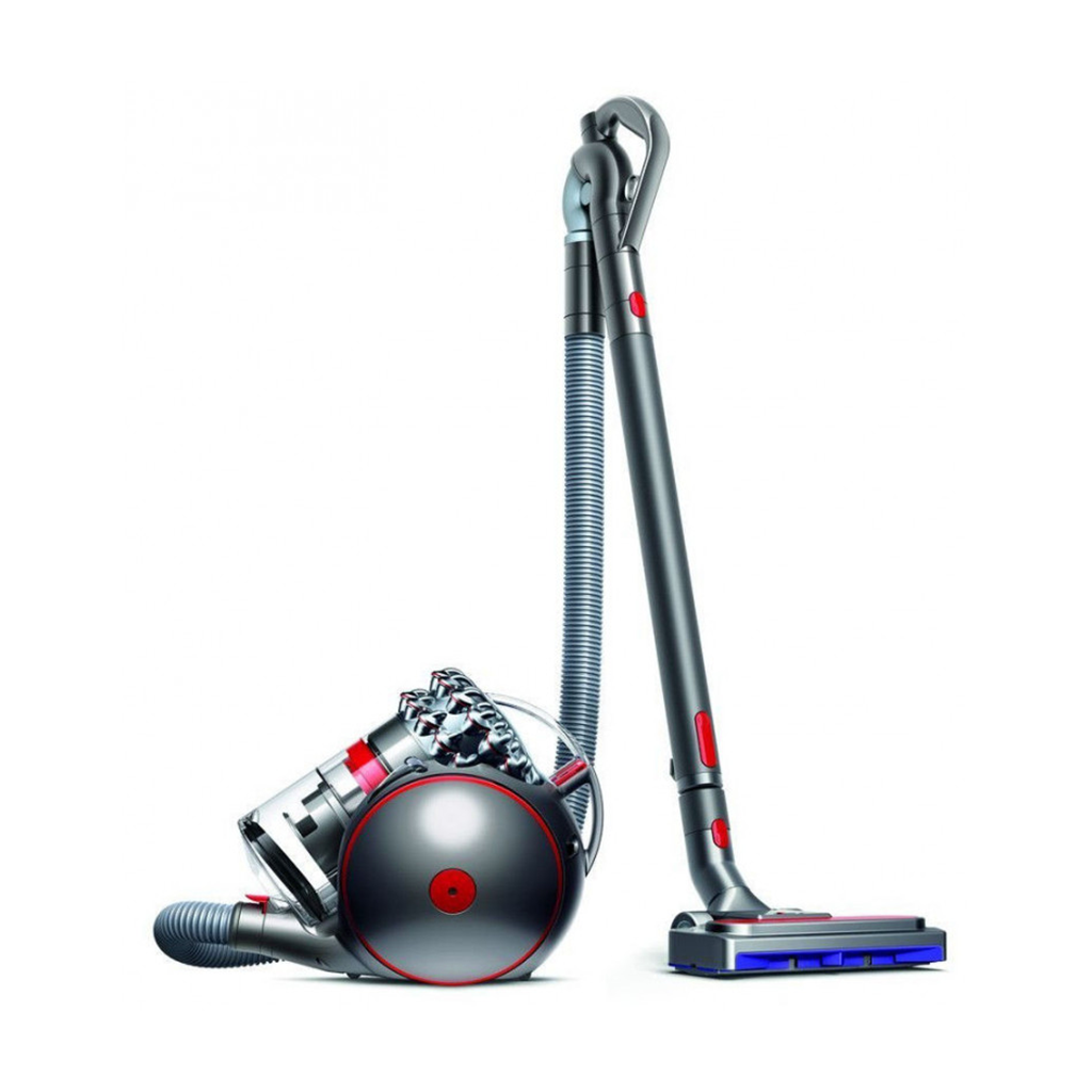 Dyson Cinetic Big Ball Animal Pro2